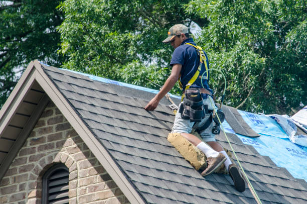 Quick and Trustworthy Emergency Roof Repair Services in Lely, FL
